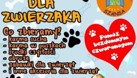 „Paczka dla Zwierzaka” - pomoc dla bezdomnych zwierząt w czasie mrozów