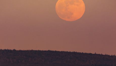 Mroźna bestia odpuści, znamy datę !