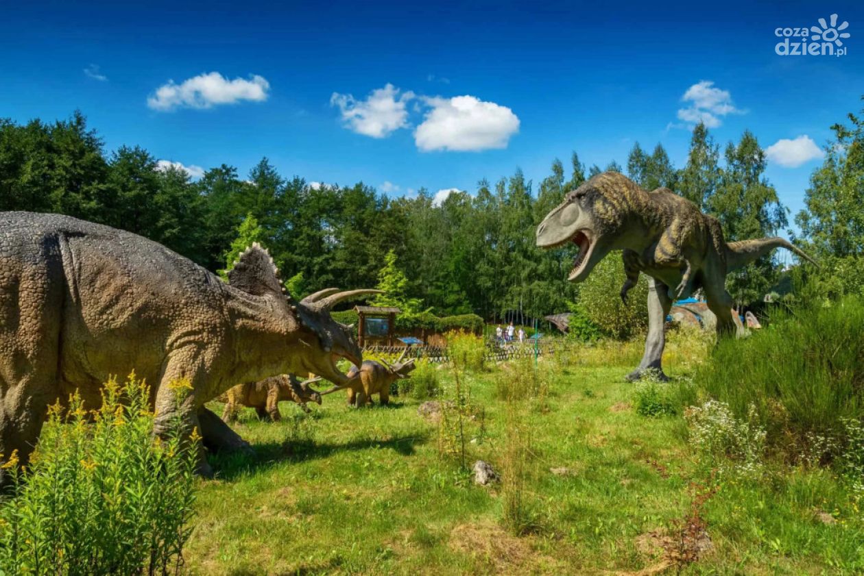 Najpopularniejsze atrakcje turystyczne w województwie świętokrzyskim w 2025 roku