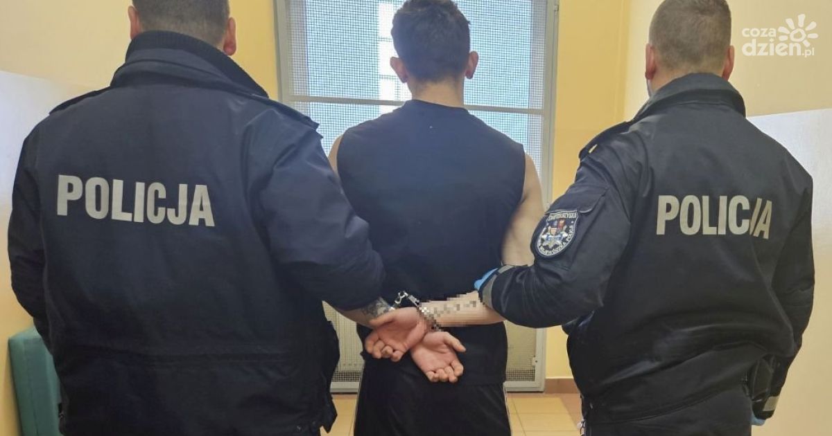 Trzy miesiące aresztu za rozbój na seniorze. Łupem było 30 złotych