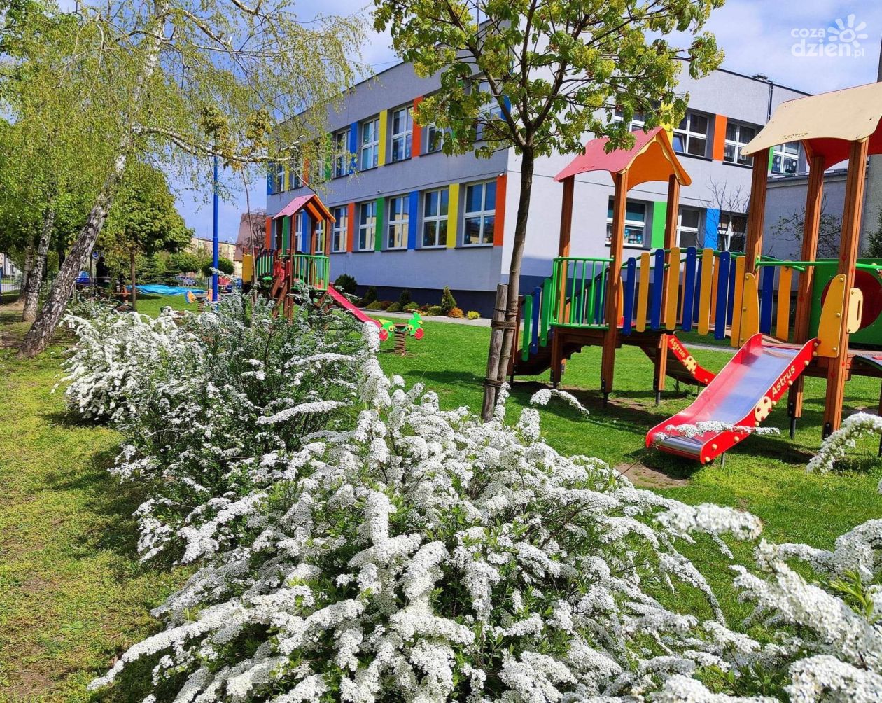 Gmina Ostrowiec poszukuje sześciu dyrektorów dla przedszkoli i szkół