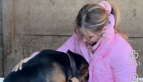 Doda odwiedziła schronisko w Suchedniowie. Wsparła nową właścicielkę i zwróciła uwagę na problem formalności