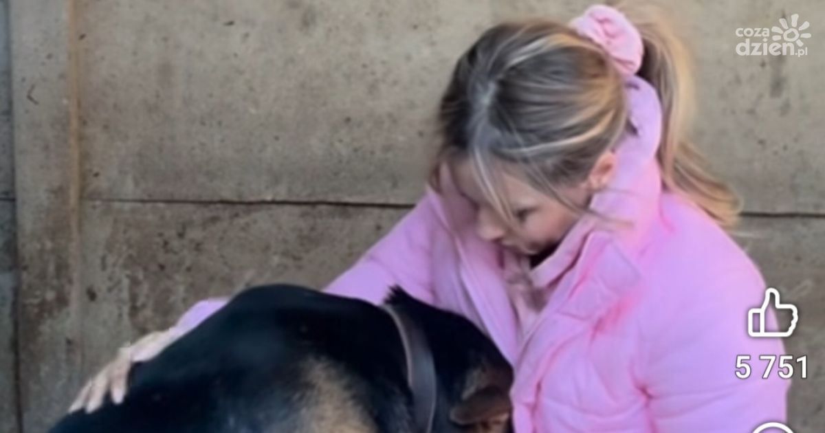 Doda odwiedziła schronisko w Suchedniowie. Wsparła nową właścicielkę i zwróciła uwagę na problem formalności