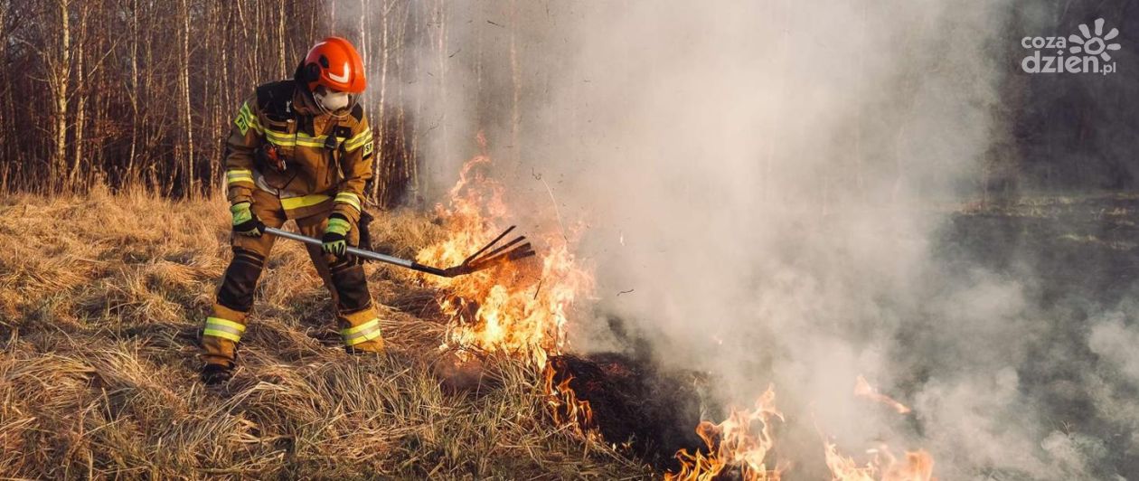 Wiosenne pożary traw – ciche zagrożenie, które wraca co roku