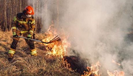 Wiosenne pożary traw – ciche zagrożenie, które wraca co roku