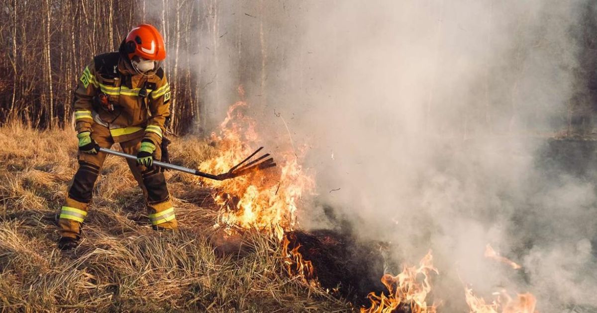 Wiosenne pożary traw – ciche zagrożenie, które wraca co roku