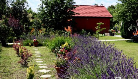 Rodzinne ogródki działkowe z szansą na pełne dofinansowanie