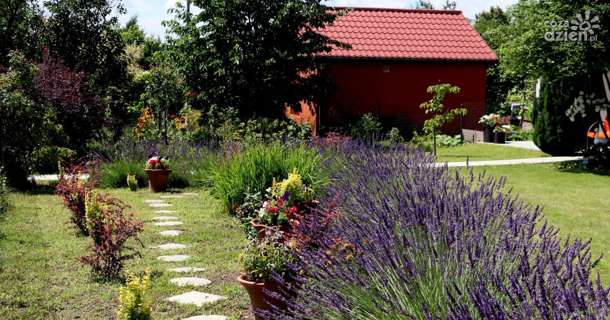 Rodzinne ogródki działkowe z szansą na pełne dofinansowanie