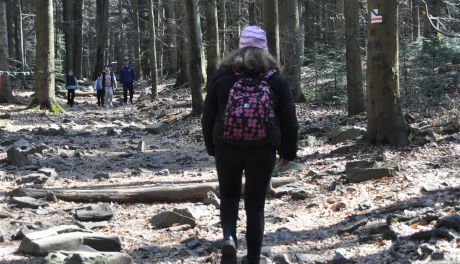 Szlak na Łysicę w Górach Świętokrzyskich