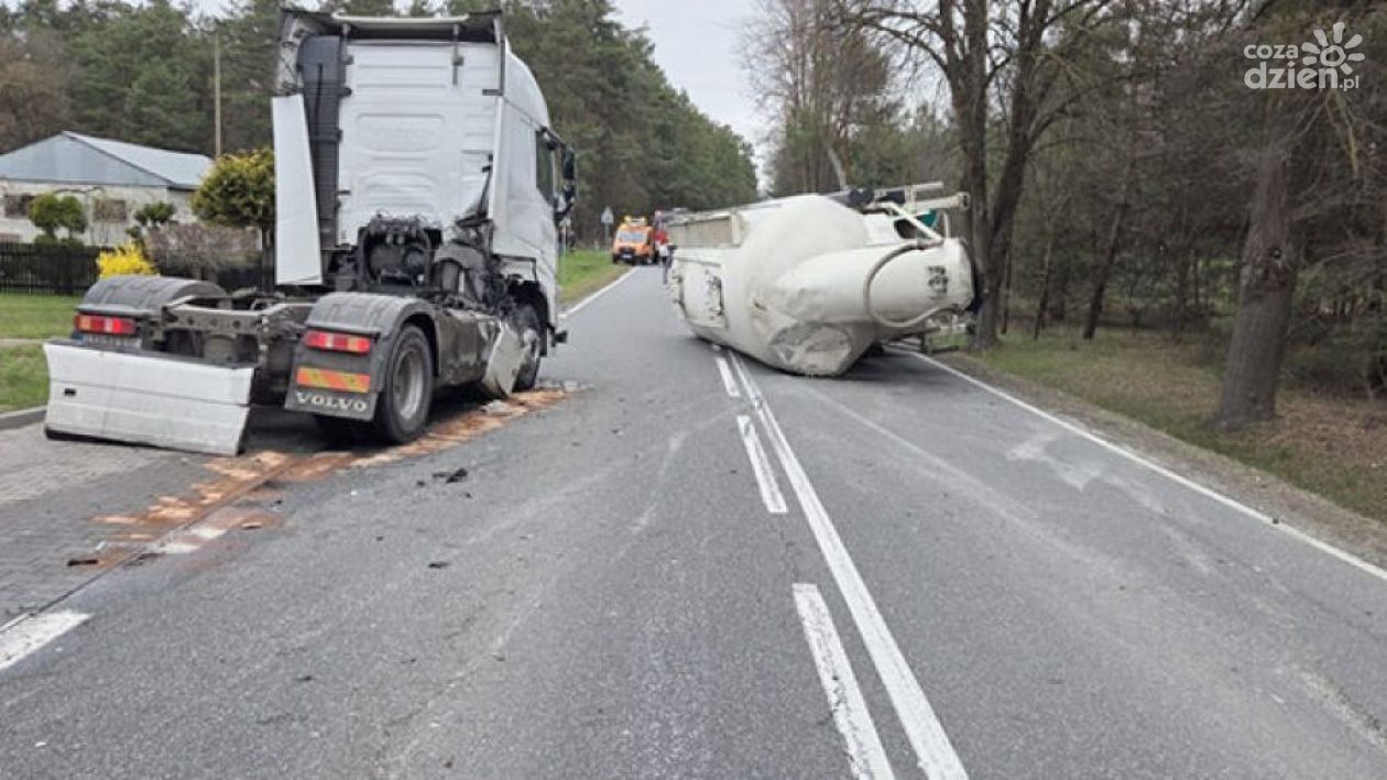 Nie zderzył się z sarną, ale zablokował drogę krajową