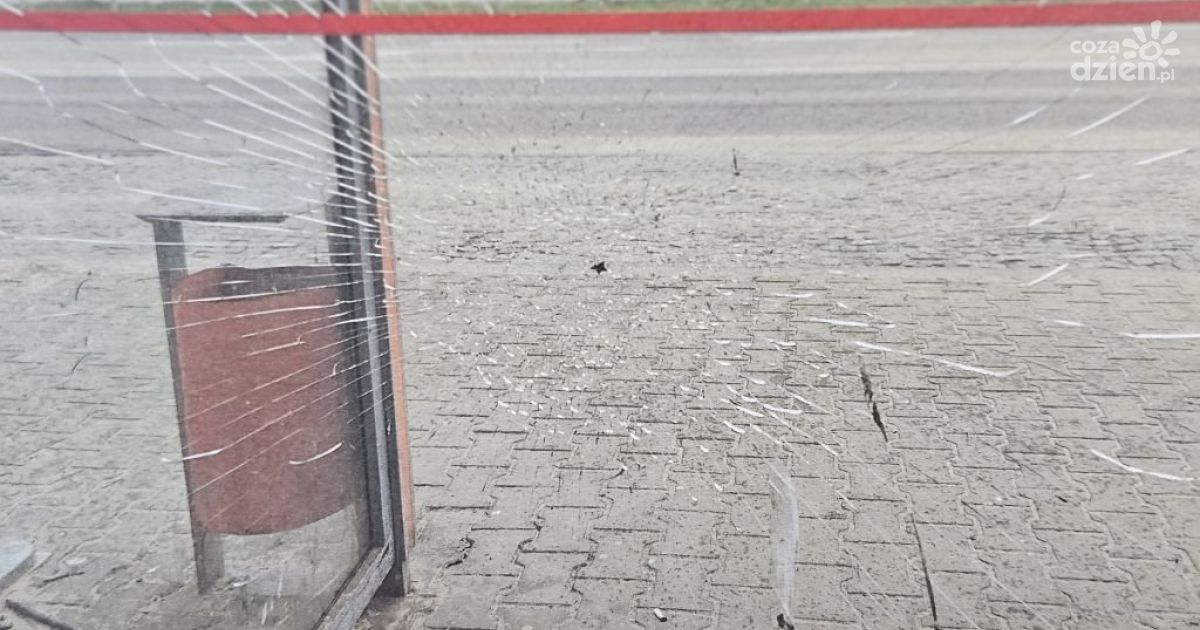 Wybili szybę w wiacie przystankowej. Trzech sprawców ustalonych przez ostrowiecką policję