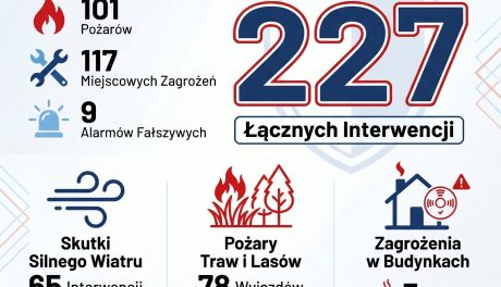 Ponad 220 interwencji strażaków w jeden weekend. Dominowały pożary traw i skutki silnego wiatru