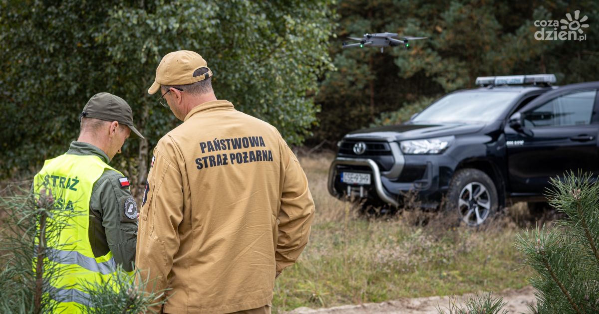 Straż Leśna rozpoczęła akcję "Majówka 26". Zaangażowane będą inne służby
