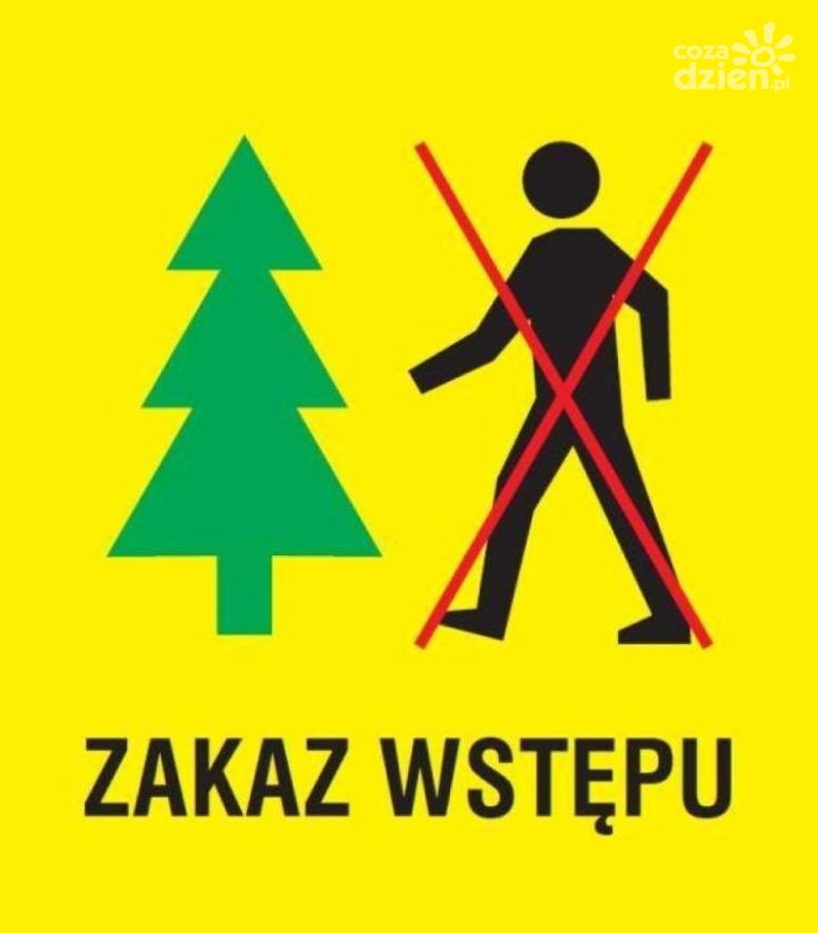 Przedłużony zakaz wstępu do lasów
