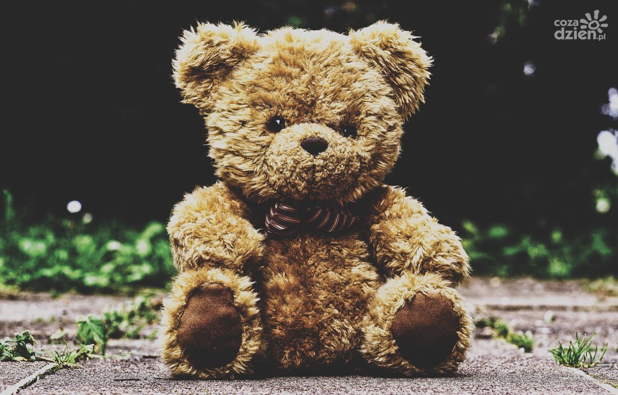 Zbiórka zabawek dla małych pacjentów onkologicznych