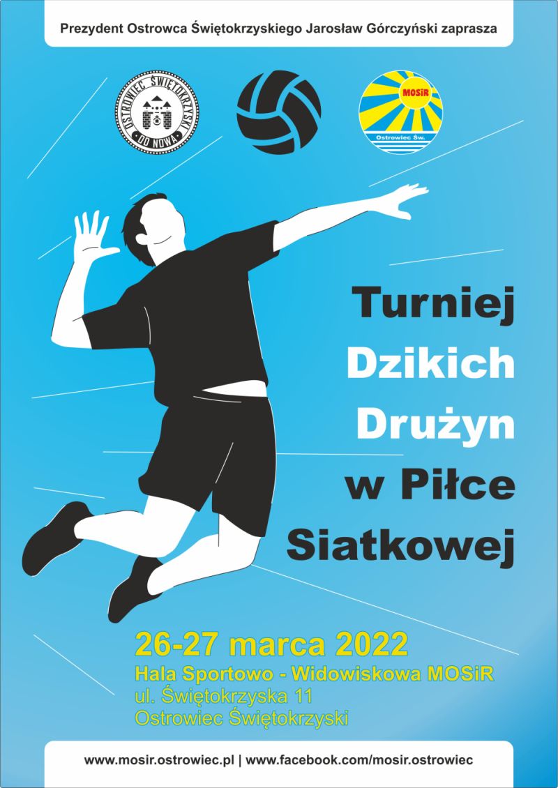 Turniej siatkówki Ostrowiec